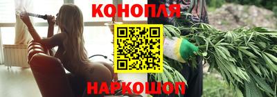 индика Гусиноозёрск