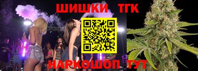 индика Гусиноозёрск