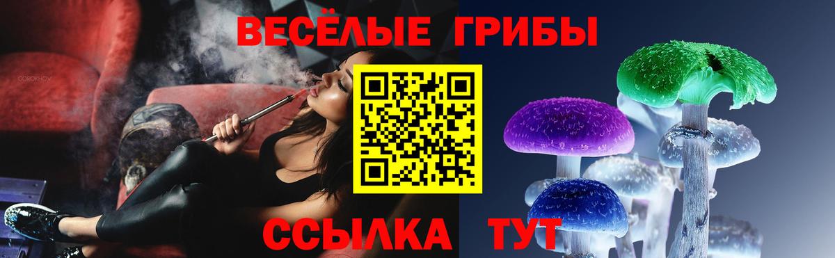 Галлюциногенные грибы Psilocybe  Вход с VPN  Гуково 